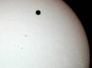 Venuše na slunečním disku
